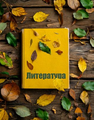 5 класс 3